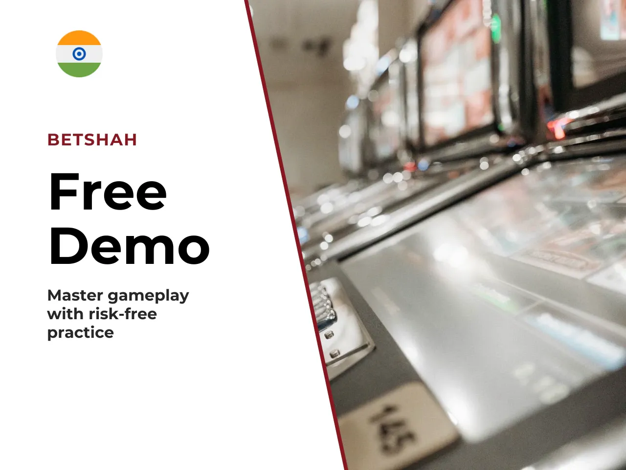 What the Free Demo Version Gives