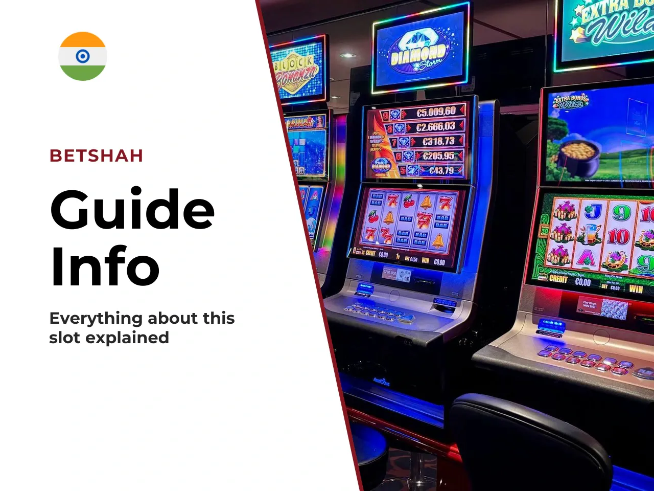Who This Guide Is Written For